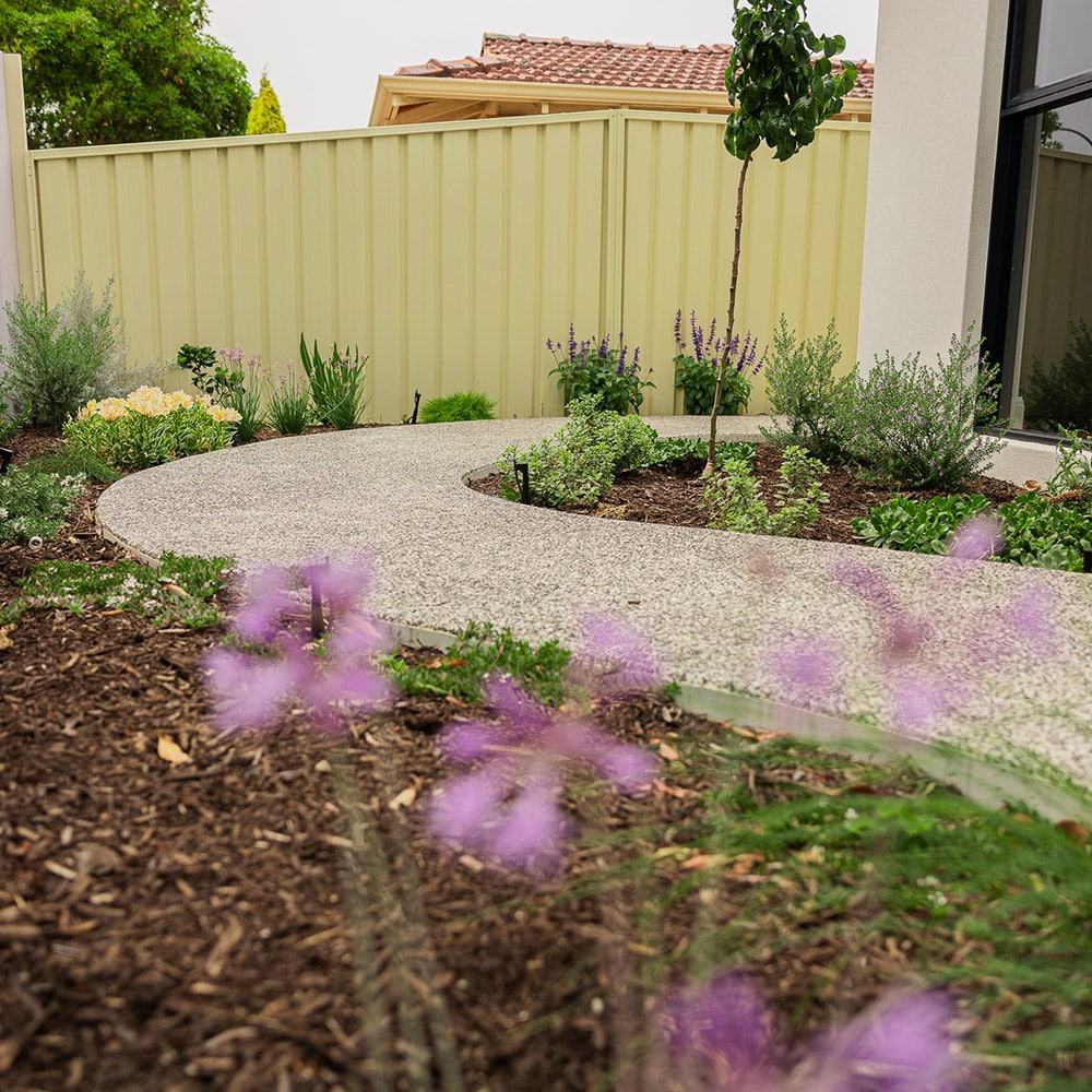 A garden path and flowers in Perth, Western Australia